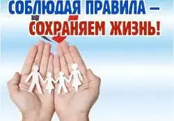 Внимание! Родительские собрания