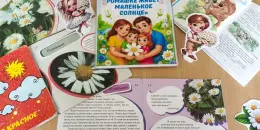 Букет ромашек на книжной полке