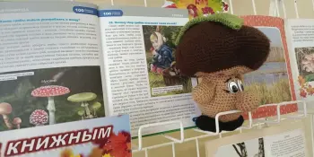 Время шуршать листьями и книгами